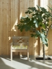 1960220 Drachmann Chair Cushion, Lemon_Sand stripes_M.jpg