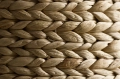 cocoon-2.jpg.webp