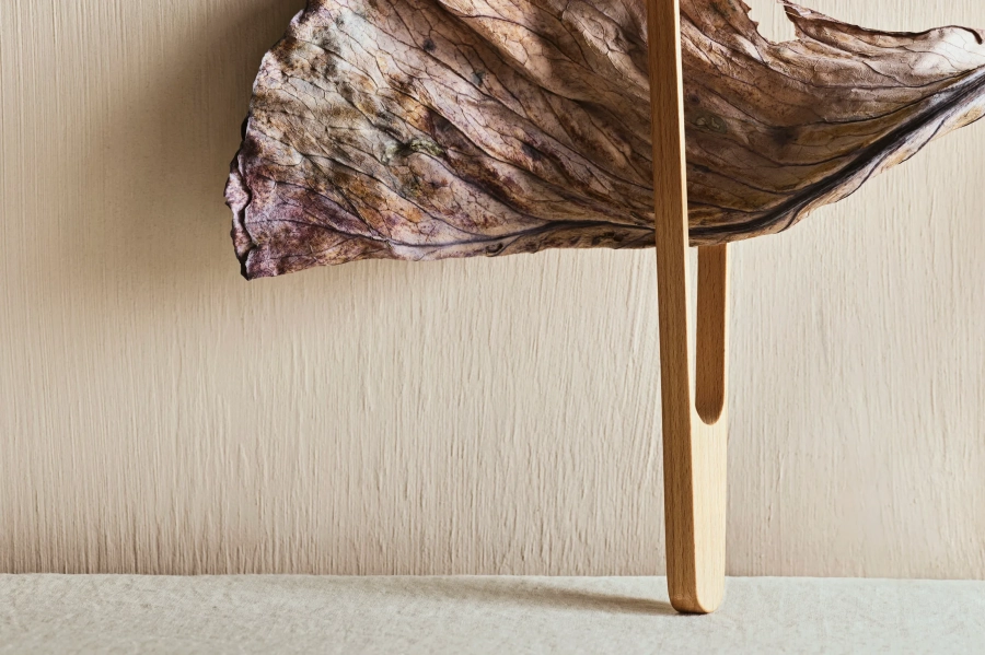 let-2.jpg.webp
