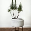 botanique---living.jpg