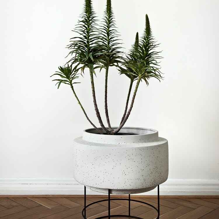 botanique---living.jpg