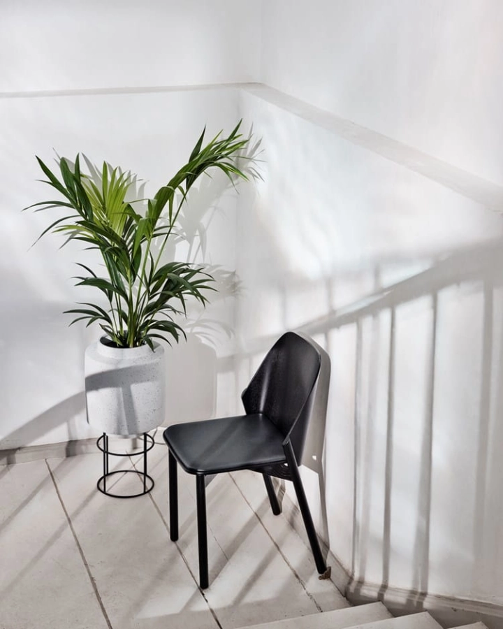 wrap-botanique-pr.jpg