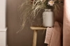 forest-forma.jpg-2.webp
