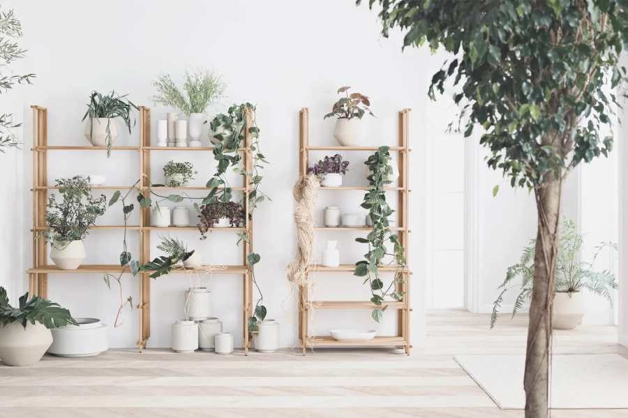 friedman-grove-botanique-hour-forma-scandinavia.jpg.webp