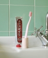 Tann rose_Toothbrush Holder rose.jpg
