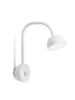 Northern_Blush_wall_white.png