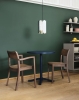 Pastis Table dia70xH74 wb lacquered ash basetabletop steel blue_Pastis Armchair wb lacquered walnut_Arcs Shade mirror.jpg