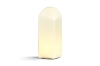 9450151009000_Parade Table Lamp 320 blush shell white on.jpg