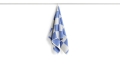 541590_Check Hand Towel sky blue.jpg