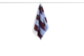 541630_Frotte Stripe Hand Towel bordeaux and sky blue.jpg