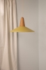 2020_EIKON_SHELL_OLIVE_curtains.jpeg