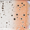 d88fa973d050a7311f4a832824781713