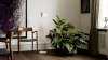 yuh_-floor_-lamp_white_hellerup.jpeg