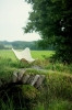 IQ8A7960_webb_Easy-Resize.com.jpg