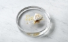2022_Mass_Dish_09.jpeg