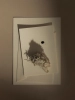 MENU_Olfacte_Scented_Candle_Wet_Ink_Editoriall_1200x.webp