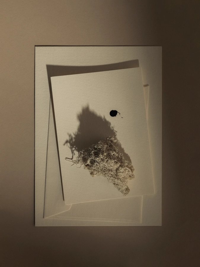 MENU_Olfacte_Scented_Candle_Wet_Ink_Editoriall_1200x.webp