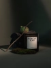 MENU_Olfacte_Scented_Candle_Midnight_Soak_1200x.webp