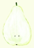 Marina_Garcia_Fernandez_Pera_Limonera_2_Product_Low_Res.jpg