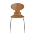 3101-ELM001-DRNIGR-r0.png