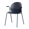 N02ARMS-N02DB-DBLPC-r33.png