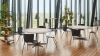 MTQyOTQ0.jpg
