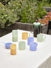Borosilicate Jug family_Borosilicate Cuisine Bowl light blue jade_ French Press Brewer aqua_Borosilicate Mug set of 2 jade light blue and jade yellow and jade light green.jpg
