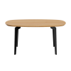 FH21-OKBA-DRBL-r0.png