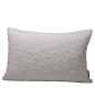 321A13999F9249F9AC50B004C18870A4.png