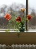 23853-en-dark-green-silent-vase-11-muuto-org-2.webp