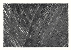 Rebecca_Hein_The_Line_No_01_Product_Low_Res.jpg