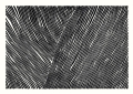 Rebecca_Hein_The_Line_No_01_Product_Low_Res.jpg