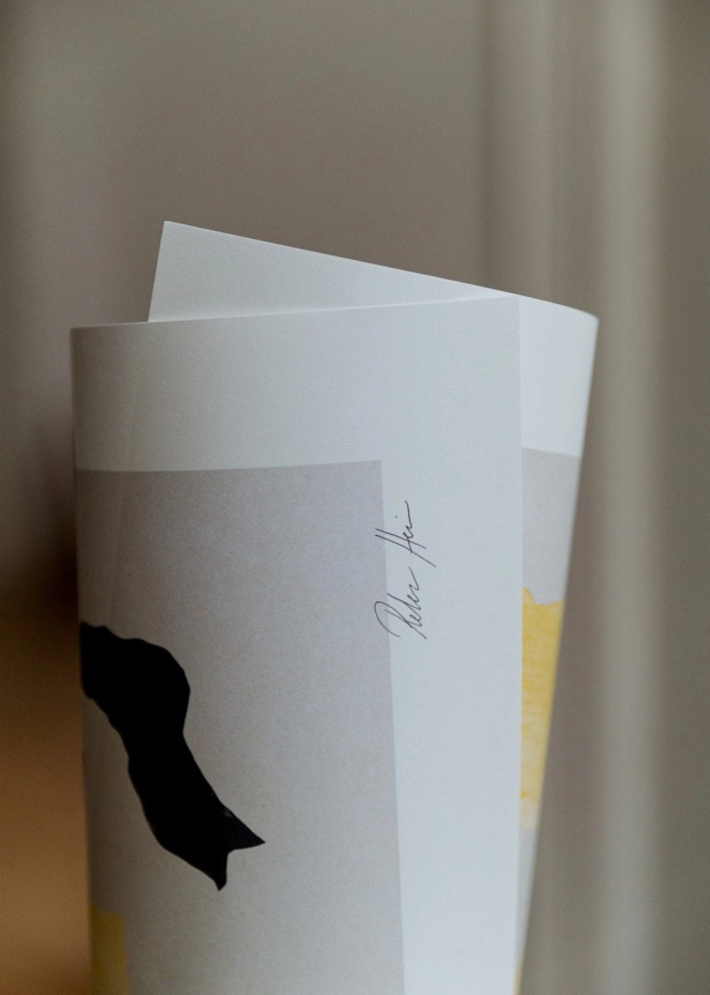 Rebecca_Hein_Shadow_No_15_Close_Up_Low_Res.jpg