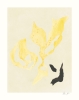 Rebecca_Hein_Shadow_No_15_Product_Low_Res-scaled.jpg