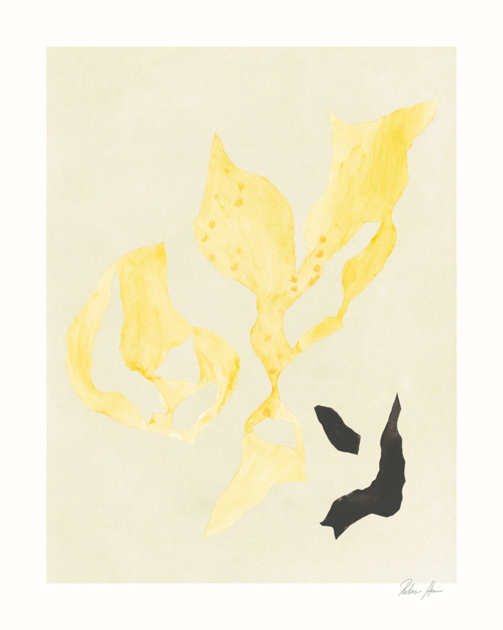 Rebecca_Hein_Shadow_No_15_Product_Low_Res-scaled.jpg