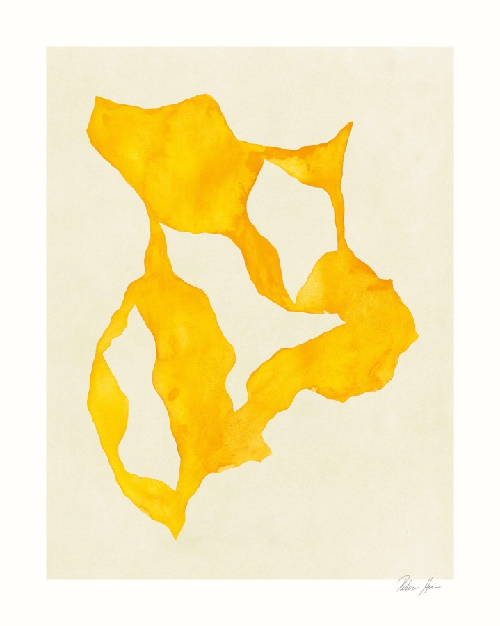 Rebecca_Hein_Shadow_No_14_Product_Low_Res-scaled.jpg