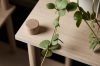WOUD_Lifestyle_2018_Elevate_2_ab35f1c7-baf8-4836-bcae-ca9ff2e8bbb6_1341x894.webp