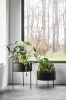 WOUD_SS22_PIDESTALL_1023x1534.webp