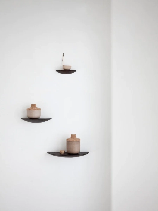 Gridy_Fungi_Shelf_Location_11.webp