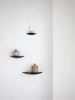 Gridy_Fungi_Shelf_Location_11.webp