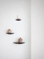 Gridy_Fungi_Shelf_Location_11.webp