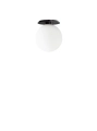 1494689_TR-Bulb_Ceiling-Wall-Lamp_Black_DtW.webp