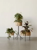 MENU_Planters.webp