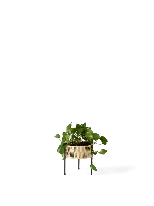 Umanoff_Planter_Low_with_Angle.webp