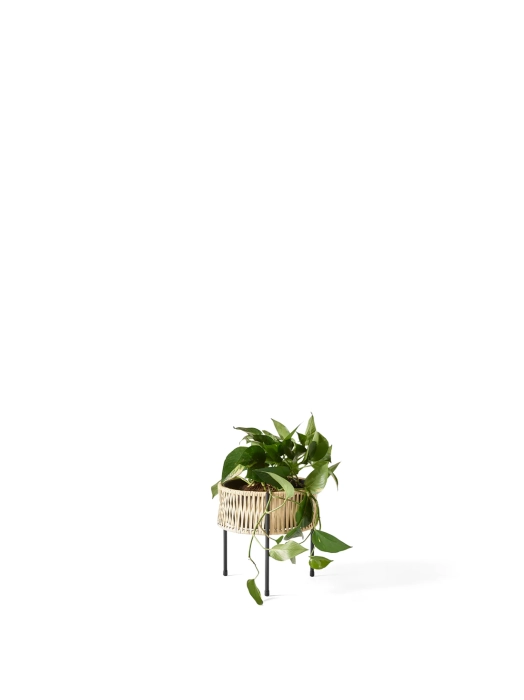 Umanoff_Planter_Low_Front.webp