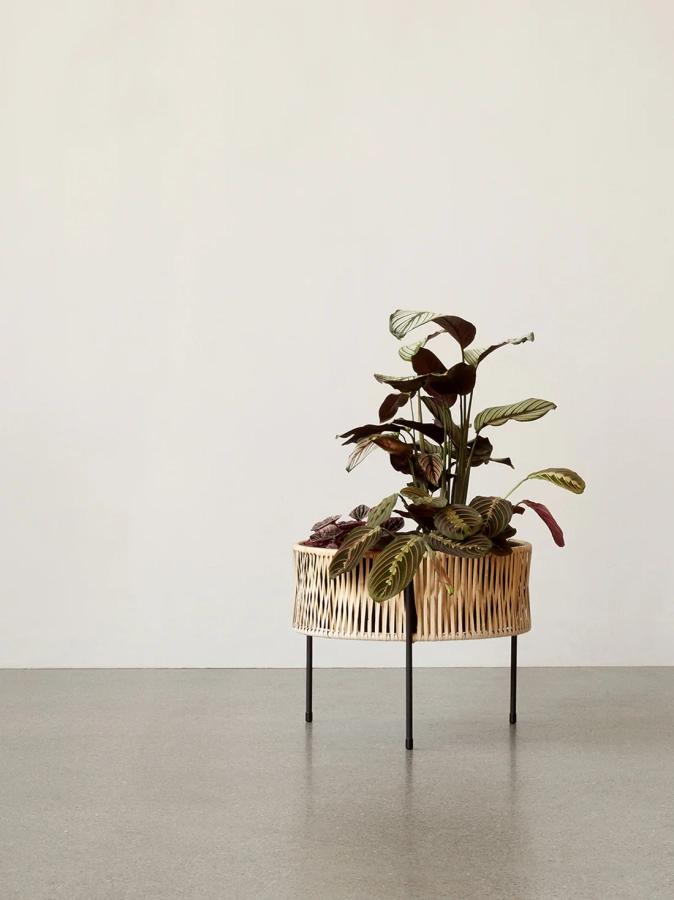 MENU_Planters_6_6e94b70d-01f3-4979-89ff-9772d93143b0.webp