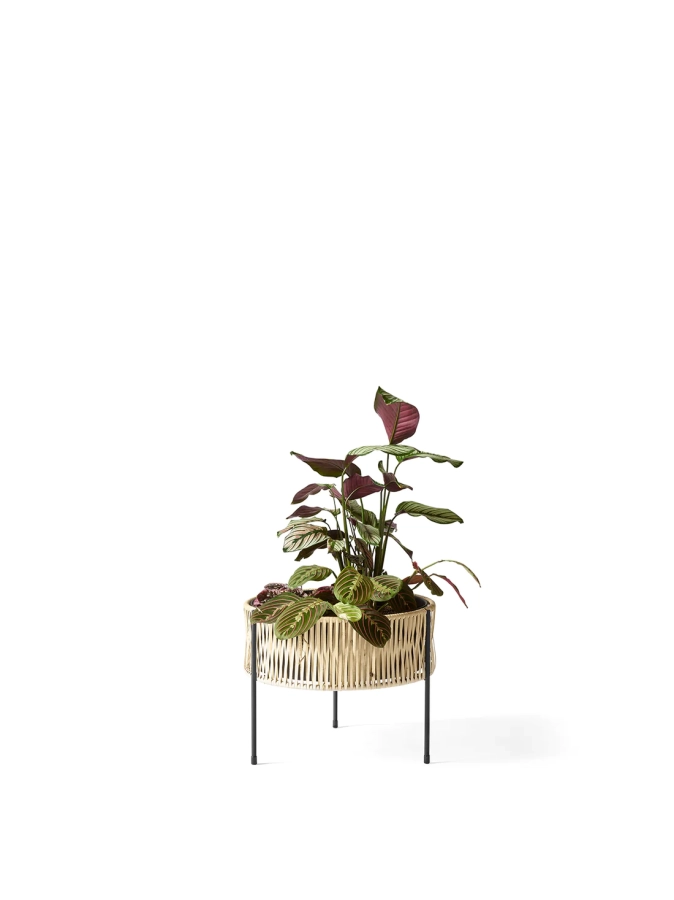 Umanoff_Planter_Medium_with_Angle_d4416172-f474-47d8-b08d-5d414f766ee7.webp