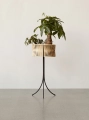 MENU_Planters_4_5a0e29bc-7550-4c72-bb25-1c5d8e0b86c2.webp