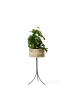 Umanoff_Planter_Tall_with_Angle.webp