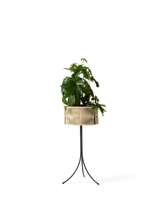 Umanoff_Planter_Tall_with_Angle.webp